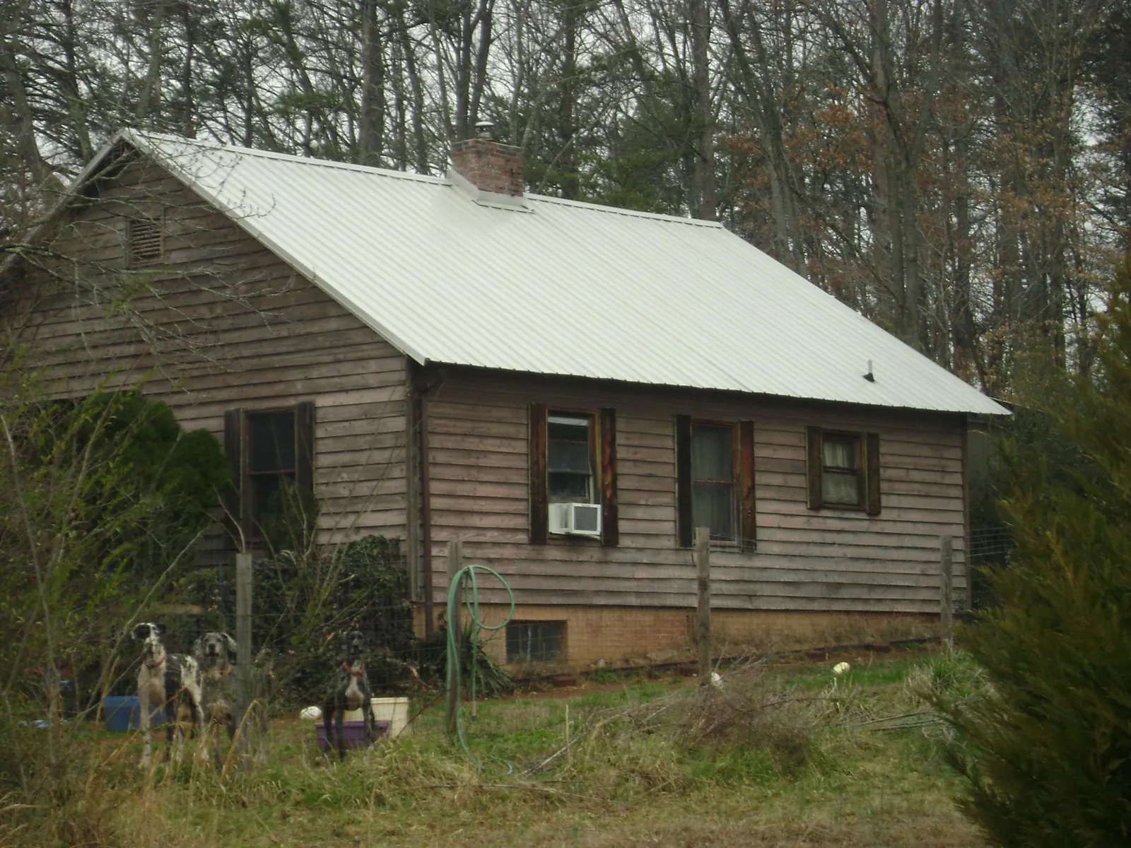 White metal roof on an old wood sided farmhouse, from a Asphalt Shingle Roof Repair job in Boulder